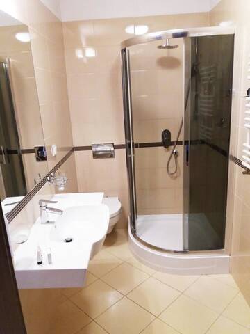 Фото номера Большой двухместный номер с 1 кроватью Отель Hotel Zamek Rydzyna г. Рыдзына 4